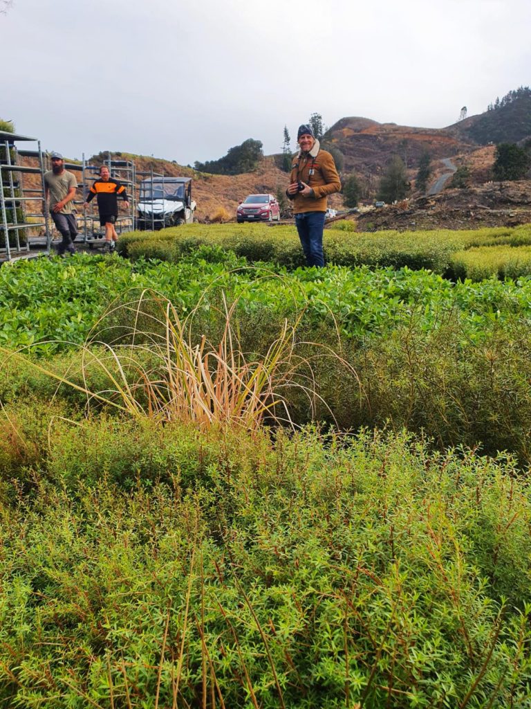 Lynden Over with native tree seedlings