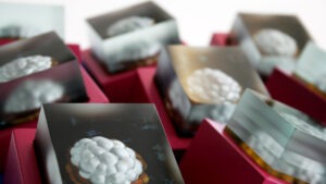 a group of pink and blue boxes with laminated glass cubes and images of a brain