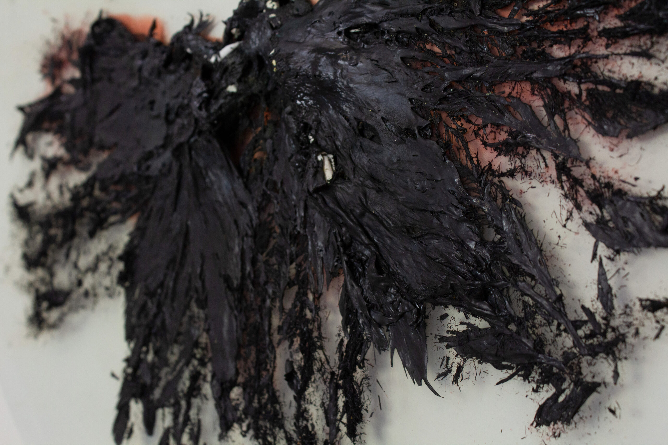 Liz Markum, Ward in Vitro (Wings)(detail). Enamel, bone, ash, glass. 22” x 20” x 1”, 2022. (Photo: Artist).
