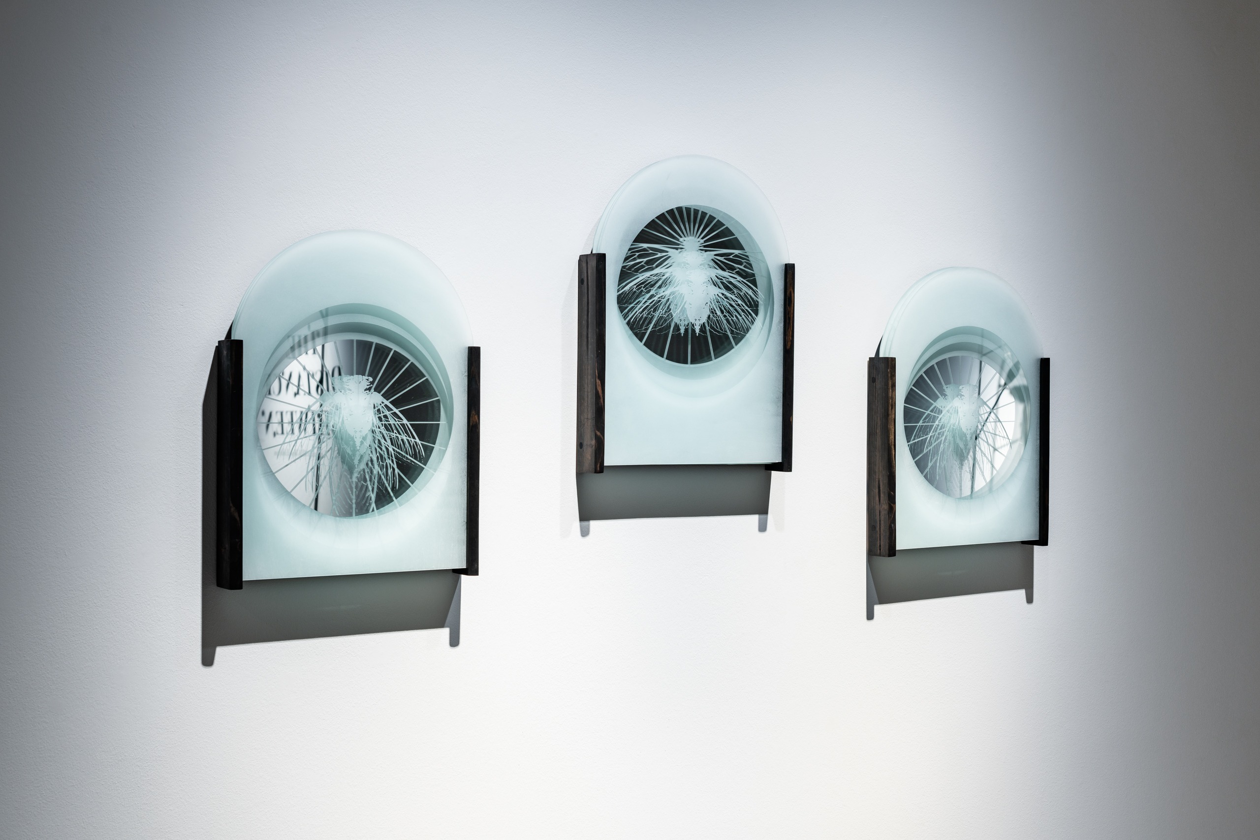Liz Markum, Wax to Wane (of Cicadas). Glass, wood. 26" x 65" x 2", 2023. (Photo: Stephanie Gerhart)