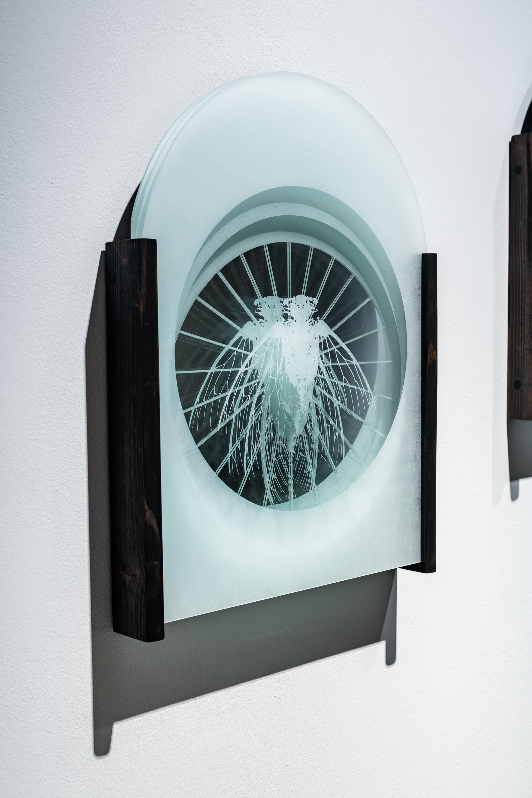 Liz Markum, Wax to Wane (of Cicadas) (detail). Glass, wood. 26" x 65" x 2", 2023. (Photo: Stephanie Gerhart)