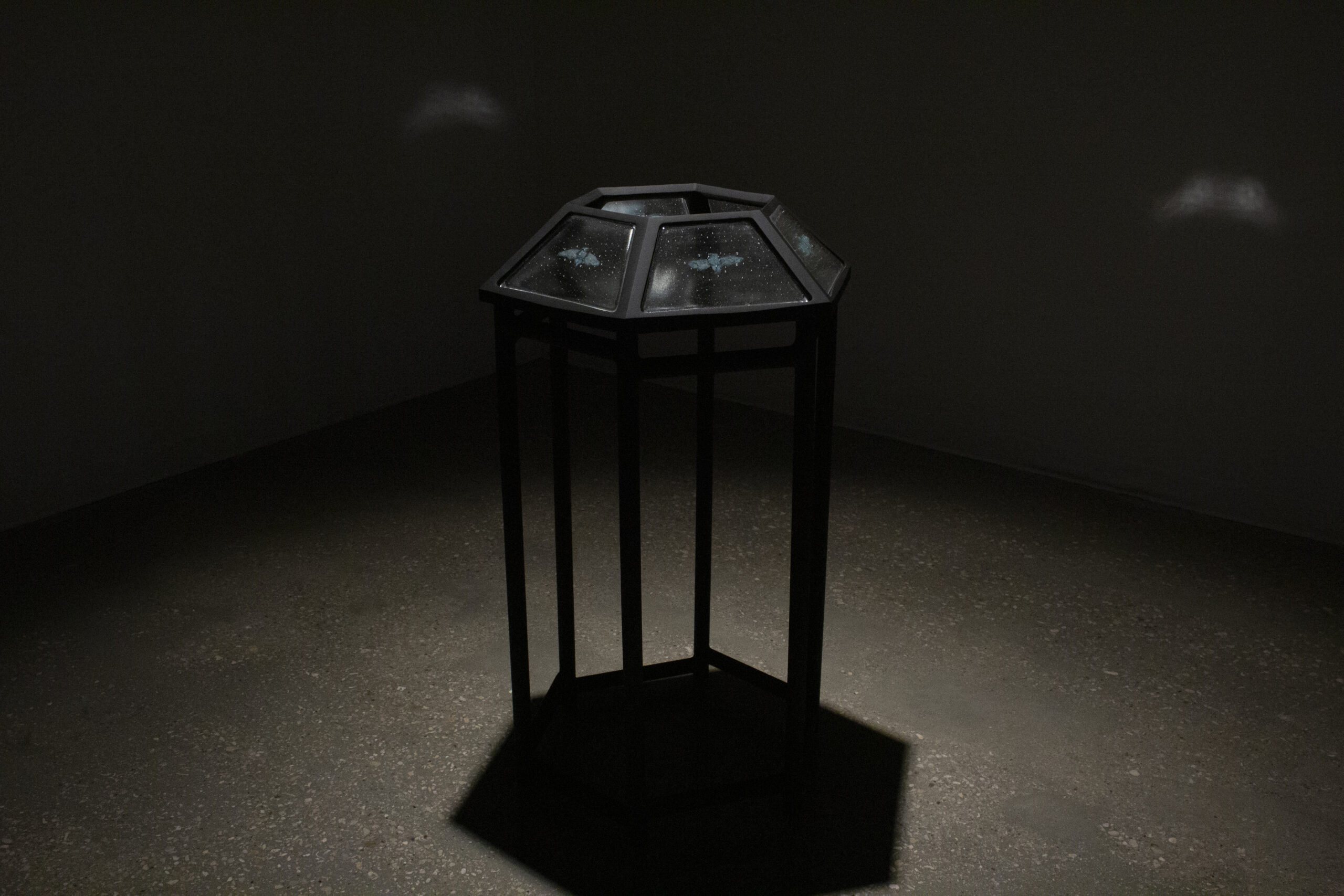 Liz Markum, Observation in Vitro (of Cicadas). Glass, copper, cicada remains, wood. 42" x 25" x 22", 2022. (Photo: Artist)
