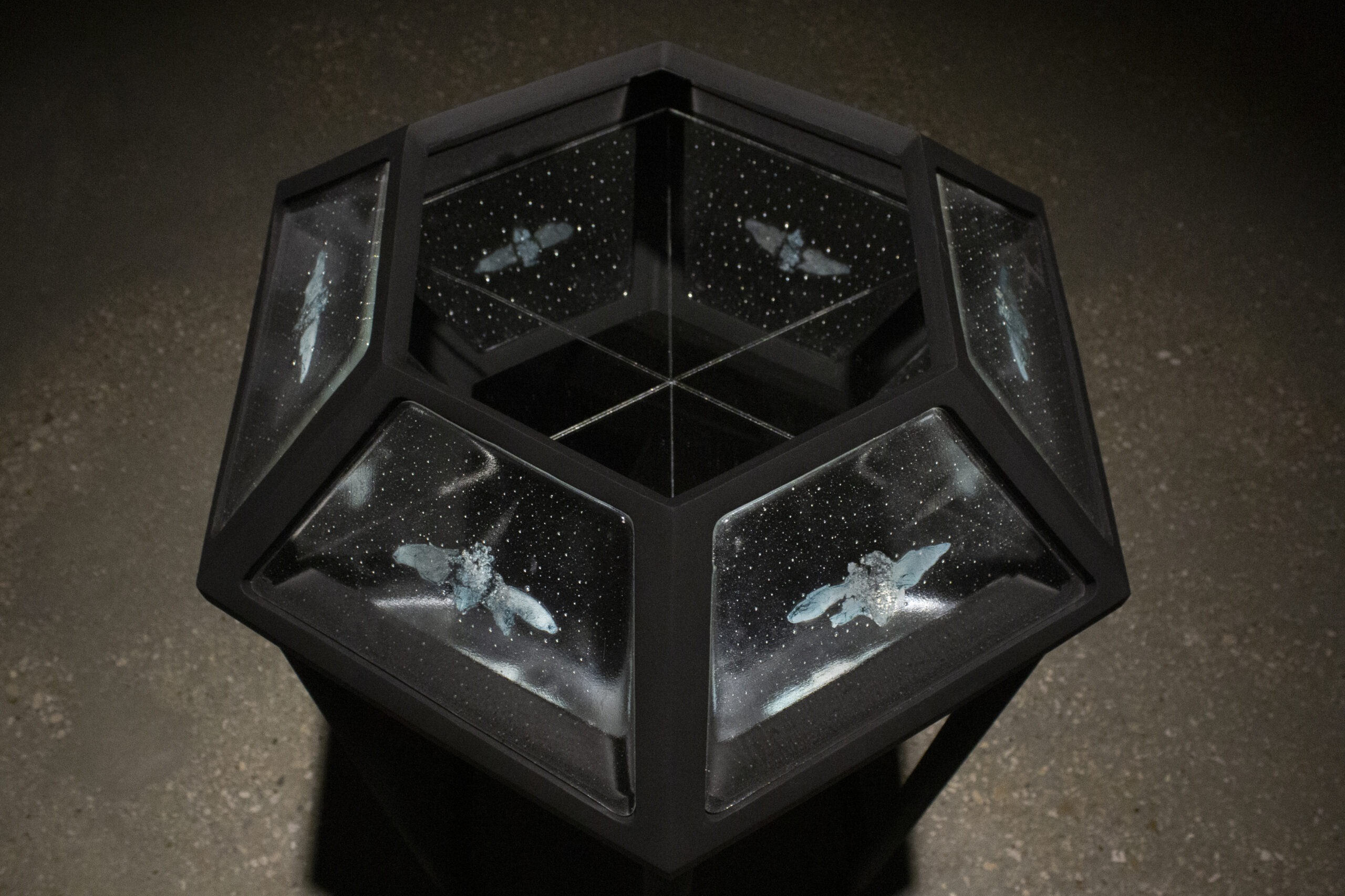 Liz Markum, Observation in Vitro (of Cicadas) (detail). Glass, copper, cicada remains, wood. 42" x 25" x 22", 2022. (Photo: Artist)