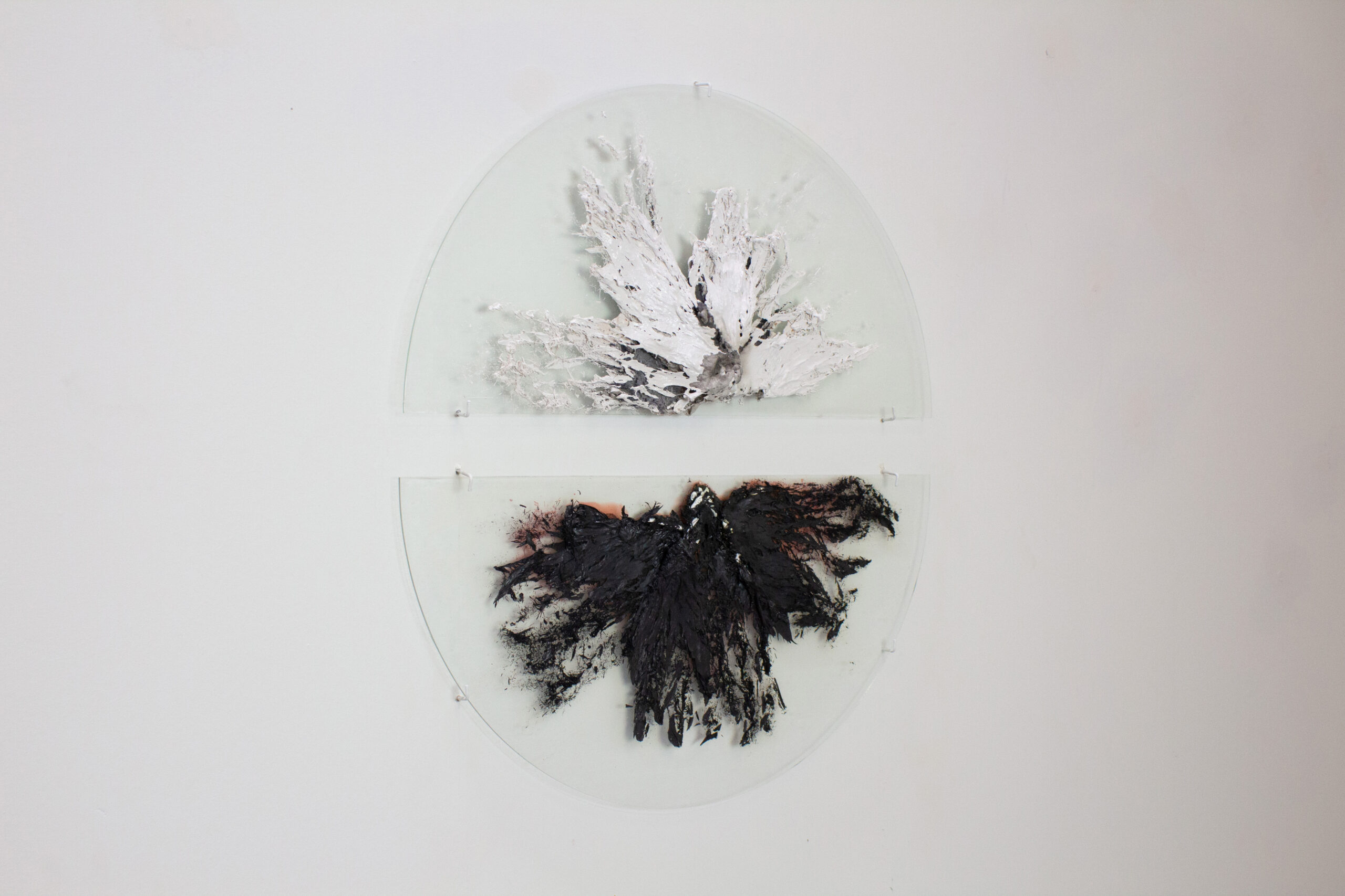 Liz Markum, Ward in Vitro (Wings). Enamel, bone, ash, glass. 22” x 20” x 1”, 2022. (Photo: Artist).